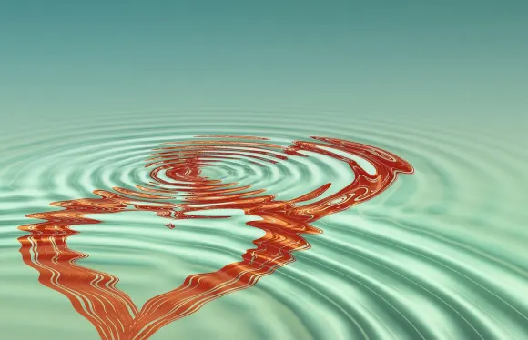 Casigo Casino Suporte